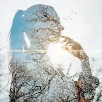 Arbre silhouette femme